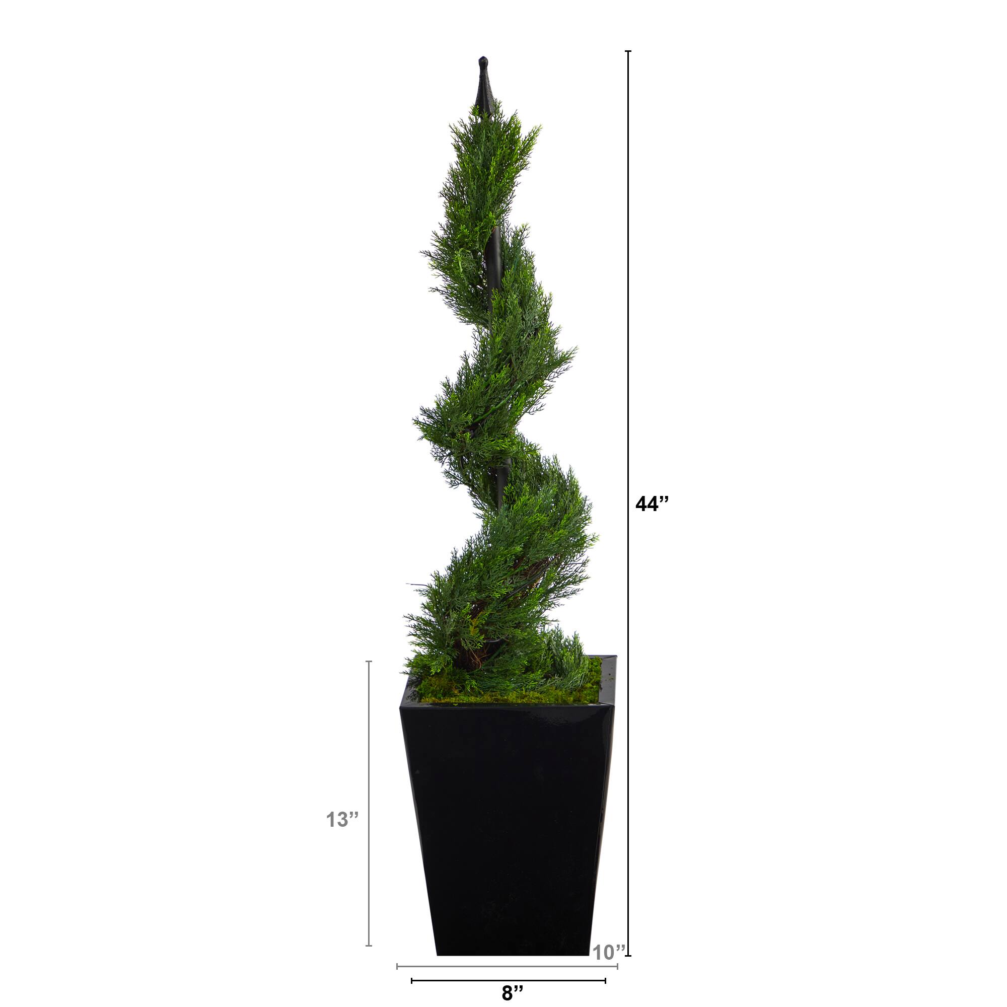 3.6ft. Spiral Cypress Topiary in Black Metal Planter